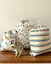 Load image into Gallery viewer, Dino Gift Bag Sets