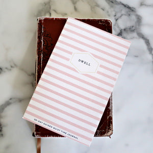 Dwell 30 Day Prayer Journal - Pink Stripe