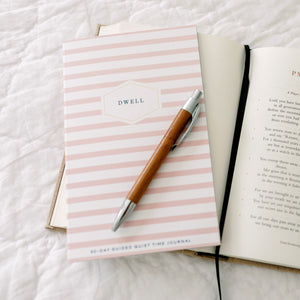 Dwell 30 Day Prayer Journal - Pink Stripe