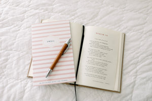 Dwell 30 Day Prayer Journal - Pink Stripe