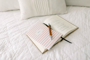 Dwell 30 Day Prayer Journal - Pink Stripe