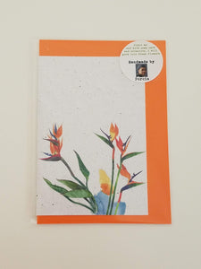 Birds of Paradise Growing Paper Greeting Card || All Occasion