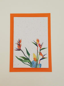 Birds of Paradise Growing Paper Greeting Card || All Occasion