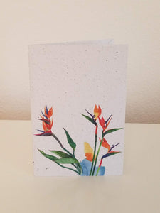 Birds of Paradise Growing Paper Greeting Card || All Occasion