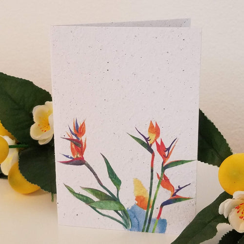 Birds of Paradise Growing Paper Greeting Card || All Occasion