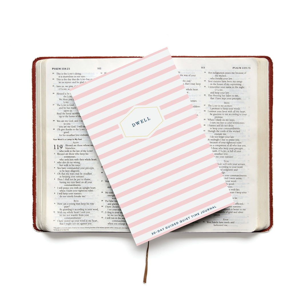 Dwell 30 Day Prayer Journal - Pink Stripe