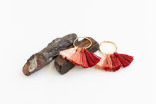 Load image into Gallery viewer, Pink Ombre Tassel Earrings