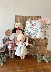 Jolly the Mouse
