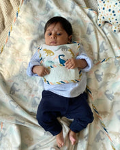 Load image into Gallery viewer, Dino Baby Bib