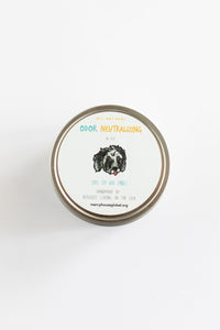 Odor Neutralizing Candle for Pets