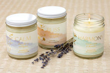Load image into Gallery viewer, Premium Spa Glass Candles