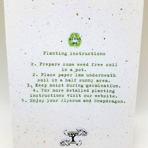 "Thank You!" with Plants & Greenery Growing Paper Greeting Card || Appreciation